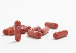 Reino Unido implementará píldora anticovid de Merck en ensayo