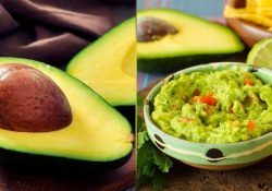Hará historia el envío de aguacate mexicano; Michoacán mandarán 140 mil toneladas al Super Bowl
