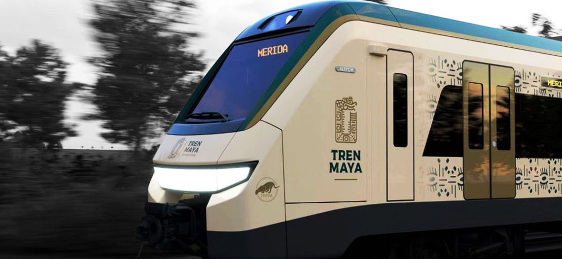 Se cuida la flora y fauna en construcción del Tren Maya: López Obrador