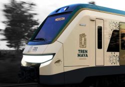 Se cuida la flora y fauna en construcción del Tren Maya: López Obrador