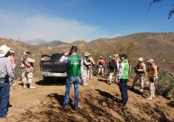 Trabajamos para contener el incendio forestal en la sierra alta: Alfonso Durazo