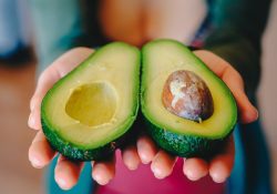 La exportación de aguacate, récord en 2021