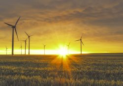 Al sector energético va 44% de inversión del gobierno: datos de la SHCP