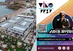 Anuncia Vinofest 2022 presentación estelar de Aleks Syntek