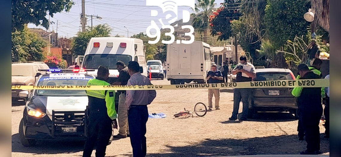 Fatal accidente; camión de la ruta 10 palmas arrolló a menor y le quita la vida