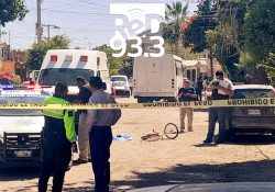 Fatal accidente; camión de la ruta 10 palmas arrolló a menor y le quita la vida