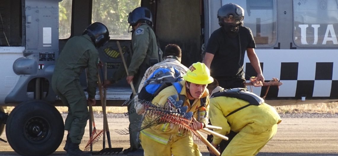Logran brigadistas 85% de control en incendio forestal en Álamos