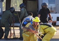 Logran brigadistas 85% de control en incendio forestal en Álamos