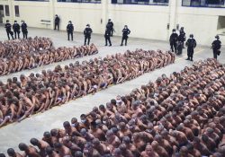 Bukele se pone intenso con los pandilleros: ‘cárcel o muerte’