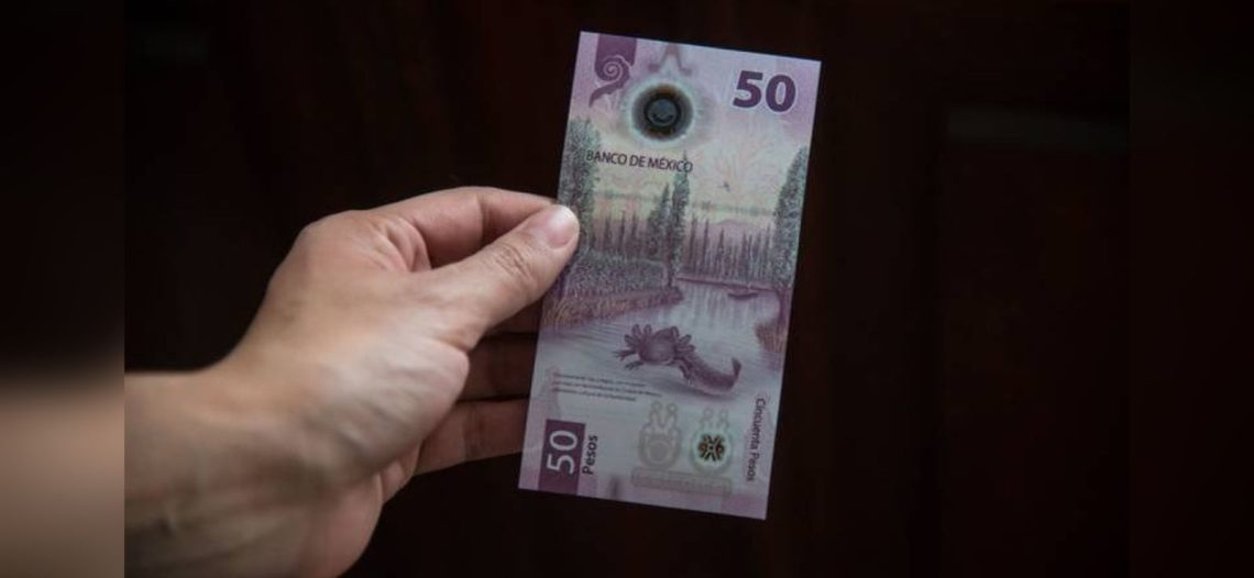 El billete de 50 pesos sería el más bonito del mundo; el de 100, con la imagen de Sor Juana, ya había ganado ese reconocimiento