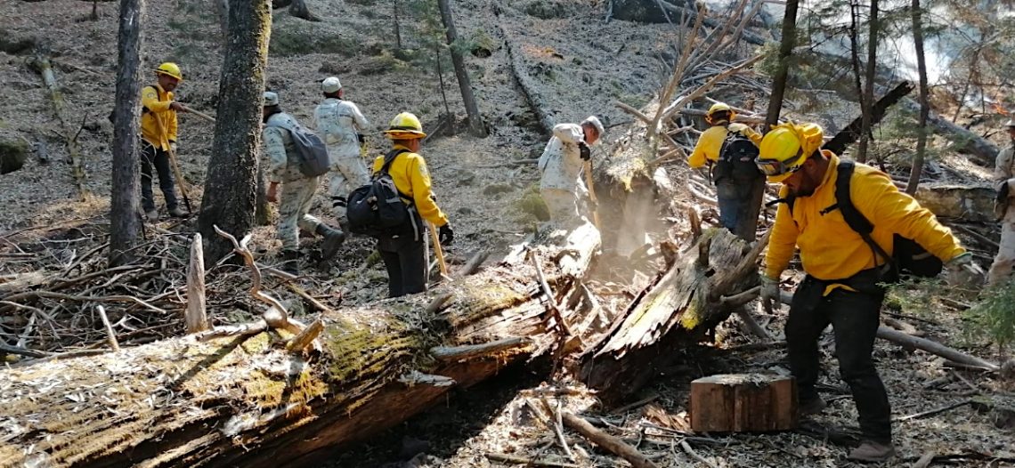 Ganan brigadistas terreno a incendio forestal de Sahuaripa