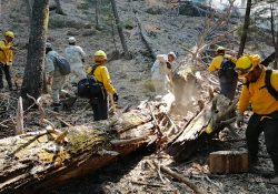 Ganan brigadistas terreno a incendio forestal de Sahuaripa