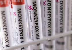 Viruela del mono podría ser de ‘alto riesgo’ si llega a grupos más sensibles: OMS