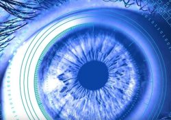 Los límites de nuestra privacidad en internet