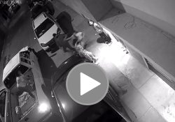 Dramático video muestra momento que se llevan a una niña por la fuerza; mamá quiso evitarlo y termina arrastrada