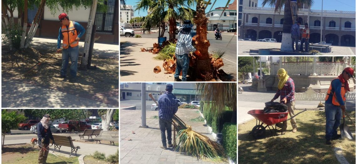 Ofrece Servicios Públicos acciones de mantenimiento y limpieza en plazas de la ciudad.