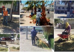 Ofrece Servicios Públicos acciones de mantenimiento y limpieza en plazas de la ciudad.