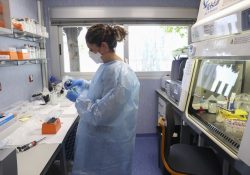 La OMS pretende controlar transmisión de la viruela del mono entre personas