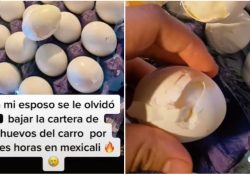 Olvidan huevos dentro de un carro y terminan cocidos por intenso calor de Mexicali