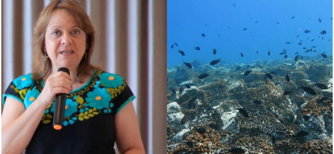 Inician evento para impulsar economía oceánica sostenible; la pesca resaltará en el encuentro