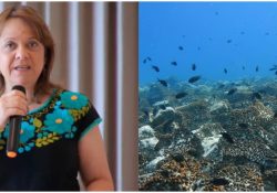Inician evento para impulsar economía oceánica sostenible; la pesca resaltará en el encuentro