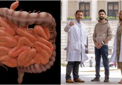 Tratamiento experimental elimina cáncer de recto en todos los pacientes en que fue probado: Investigadores
