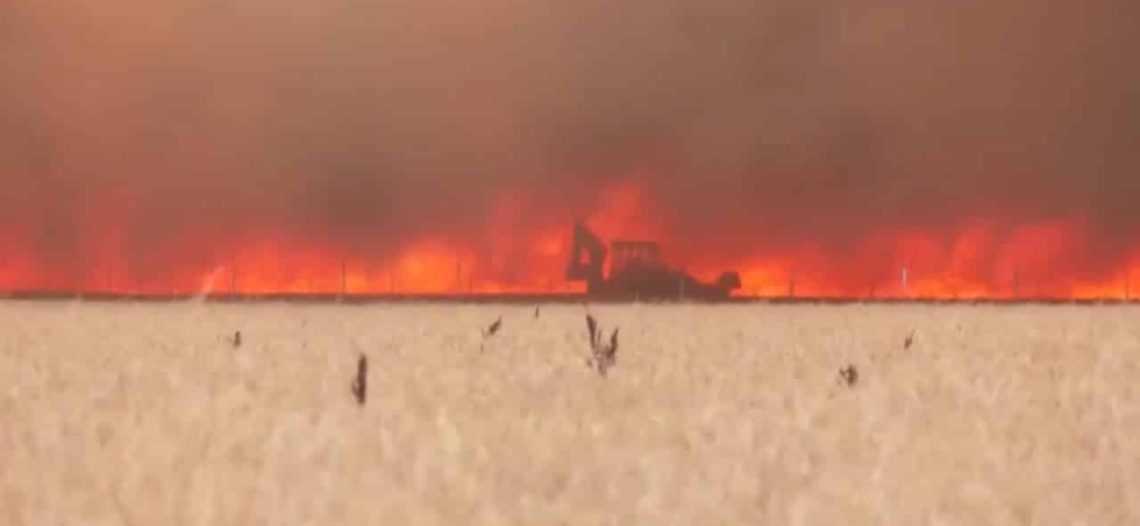 Hombre se salva de morir en incendio forestal en España de milagro: Video