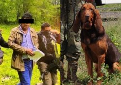 Caro Quintero fue atrapado en Choix, en el norte de Sinaloa, confirma la Semar