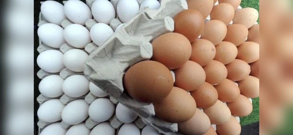 Ante la carestía, proponen no comprar huevo para inducir menor precio