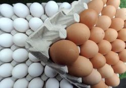 Ante la carestía, proponen no comprar huevo para inducir menor precio