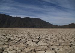 Declaran emergencia por sequía extrema; afectado, 67.65% del territorio