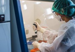 Viruela del mono no tarda en ser declarada pandemia, advierte experto de la OMS
