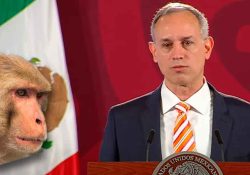 Viruela del mono no se comportará como COVID-19: López-Gatell