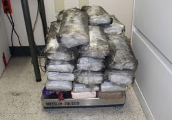 Aseguran una tonelada de cocaína en CDMX; la iban a distribuir en Tepito
