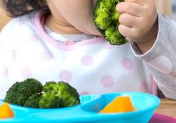 Madre vegana es declarada culpable de matar a su bebé por alimentarlo solo con frutas y verduras