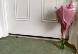 Hallan a mujer fallecida desde hace dos años en su departamento; casero cobraba la renta de su pensión