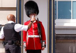 Inglaterra entra en alerta roja por la ola de calor