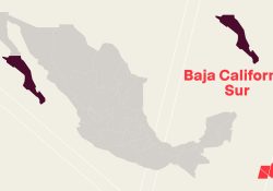 Se registra sismo de magnitud 4.3 en Cabo San Lucas, BCS