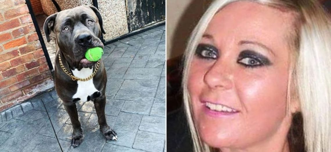 Mujer muere tras sufrir el brutal ataque de su perro dentro de su casa