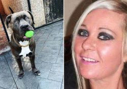 Mujer muere tras sufrir el brutal ataque de su perro dentro de su casa