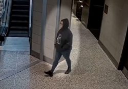 Difunden video del momento en que comenzó el tiroteo en aeropuerto de Dallas