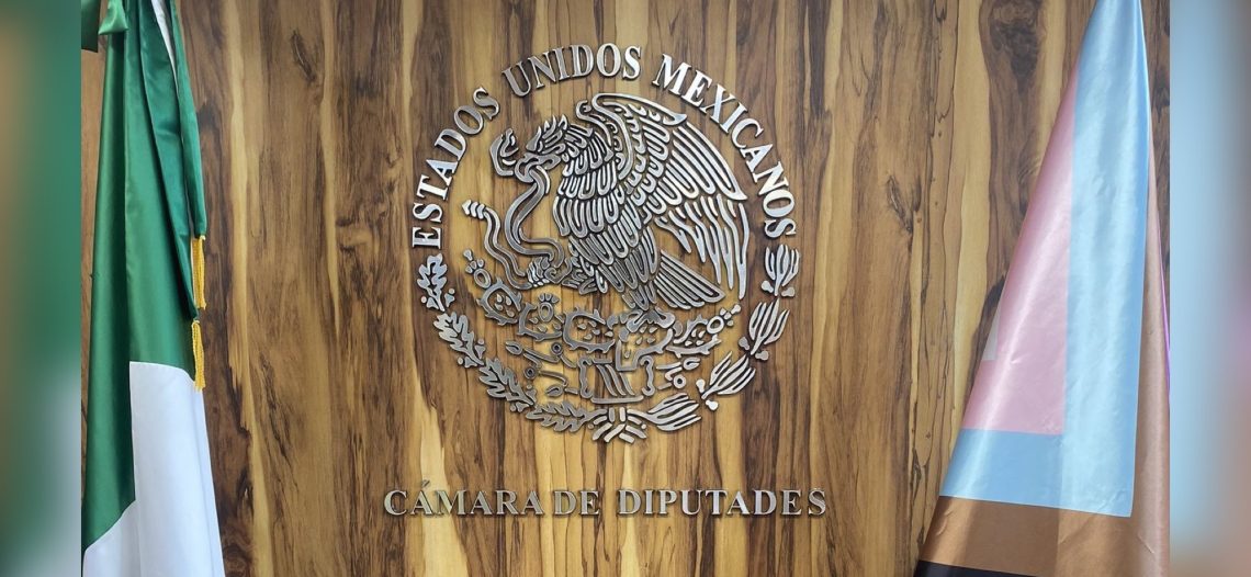 Llega el lenguaje inclusivo a la Cámara Baja; se difunde una imagen con la inscripción: «Cámara de Diputades»