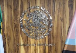 Llega el lenguaje inclusivo a la Cámara Baja; se difunde una imagen con la inscripción: «Cámara de Diputades»