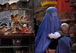 Afganos pierden derechos a un año de triunfo Talibán