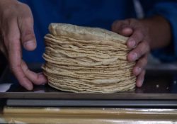 Se dispara el kilo de tortilla hasta 30 pesos; aumentos en al menos 21 estados