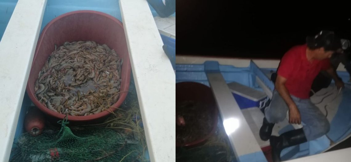 Detiene Conapesca a pescadores furtivos de camarón; ya están en manos de la Fiscalía federal