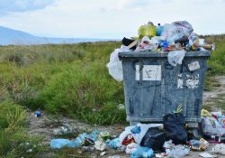 Joven mexicana muestra calles de Bélgica llenas de basura: “Está mejor el centro de la CDMX”