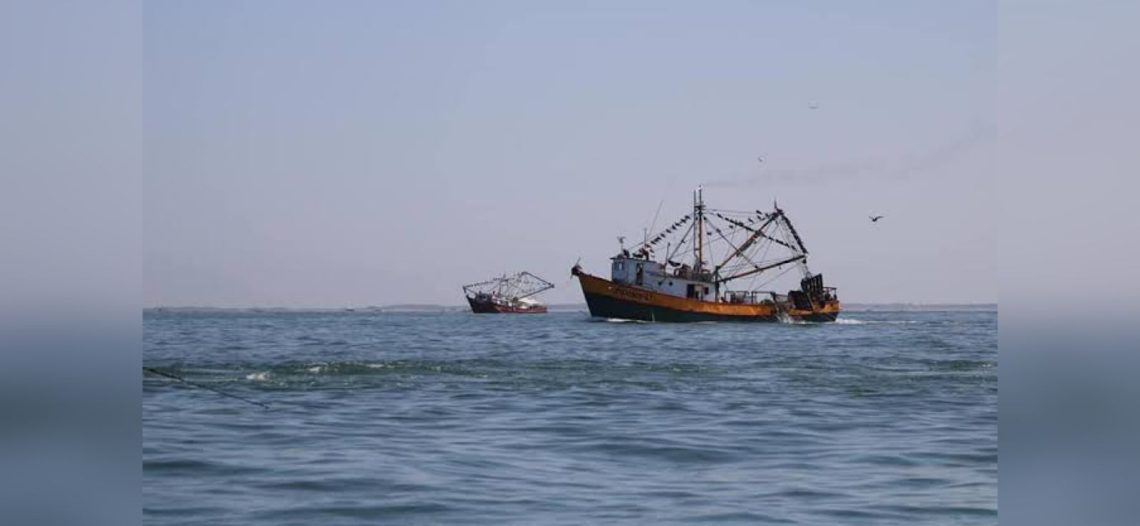 Una reducida flota inició la pesca camaronera de alta mar
