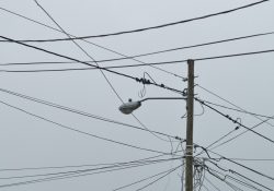 Muere adolescente que se electrocutó con cables de alta tensión que colgaban sobre una banqueta
