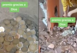 Albañiles encuentran “tesoro” tras derrumbar la pared de una obra: Video
